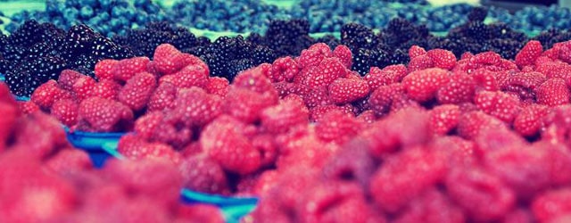 berries Antioxidant Properties of Berries